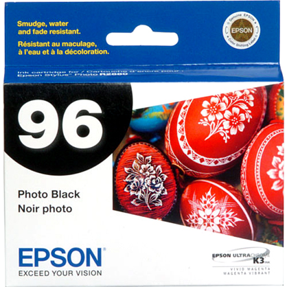 Best image for Epson Photo Black Ink Cartridge for R2880 printer