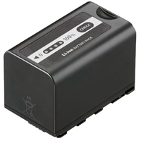 Best image for Panasonic VW-VBD58 Battery - X1000