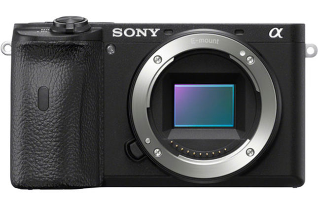 Sony Alpha A6600  Body