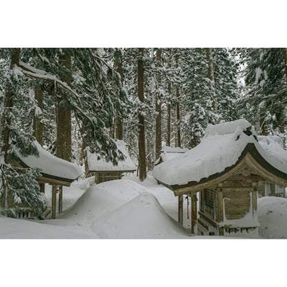 1019288_C.jpg - Sigma  FUJIFILM X Mount 16mm f/1.4 DC DN Contemporary Lens - Thumbnail 3