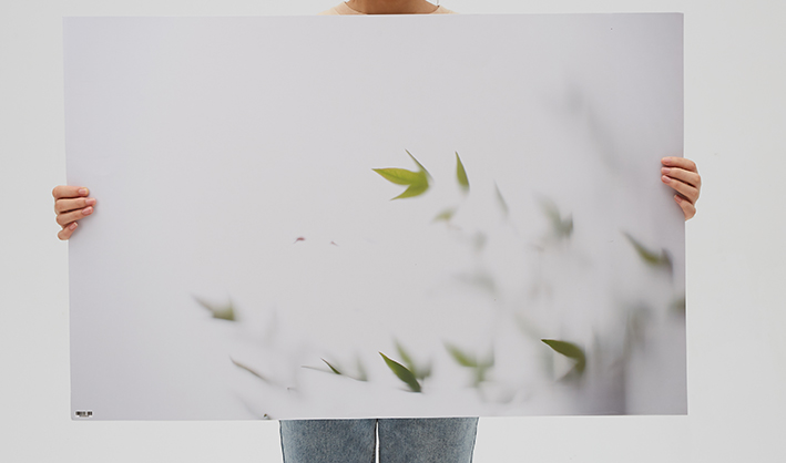 1022098_A.jpg - Krane 57x87cm 2 sides Backdrop WY-D04 - Image 1