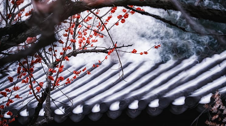 1022548_D.jpg - Kase 200mm F5.6 Reflex Lens Fujifilm X Mount - Thumbnail 4