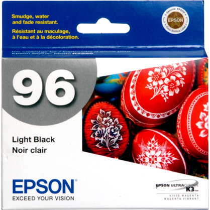 Best image for Epson Light Black Ink Cartridge for R2880 printer