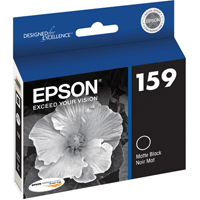 Epson Matte Black Ink Cartridge - R2000 - Best Available Image