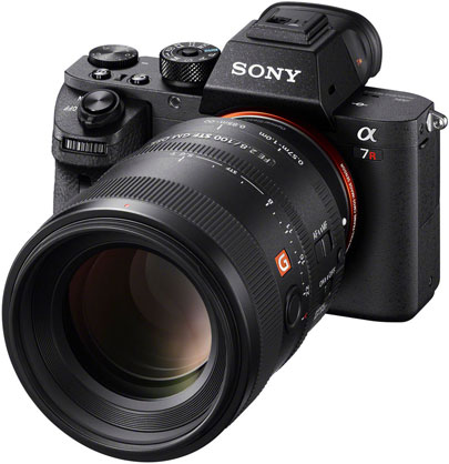 1013429_A.jpg - Sony FE 100mm f/2.8 STF GM OSS Lens