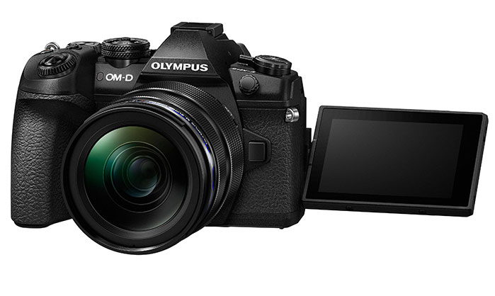 1014099_D.jpg - Olympus OM-D E-M1 Mark II +12-40mm f/2.8mm kit