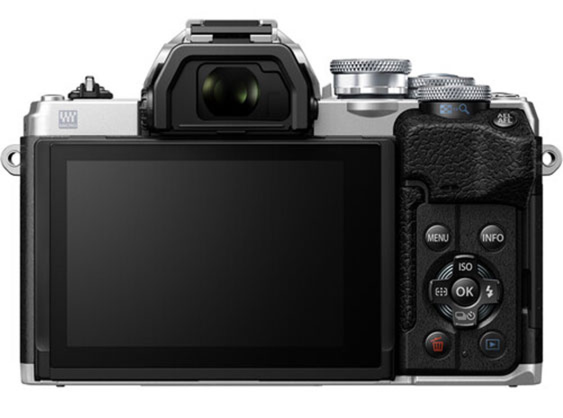 1016469_A__ScaleHeightWzgzNl0.