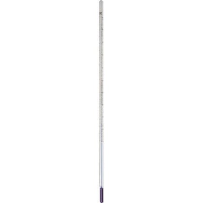 Best image for Paterson Thermometer Certified 9"