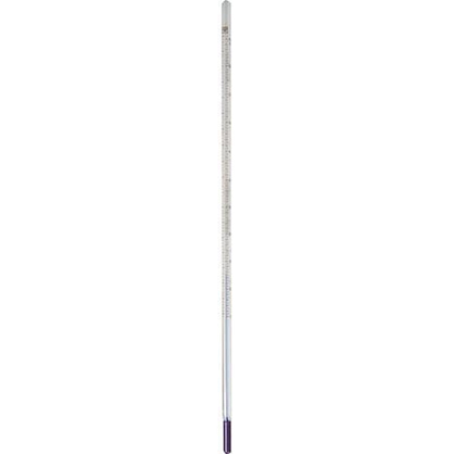 Best image for Paterson Thermometer Certified 9"