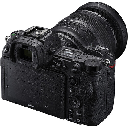 1016729_E.jpg - Nikon Z6 II  + 24-70mm f/4 Lens