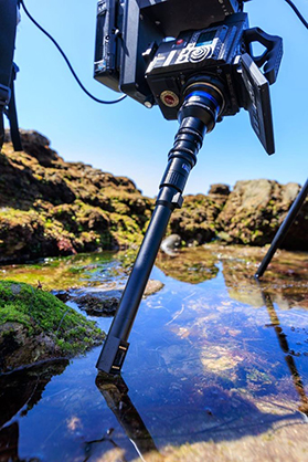 1019559_D.jpg - Laowa 24mm T14 2x PeriProbe Lens Nikon FX Mount - Image 4