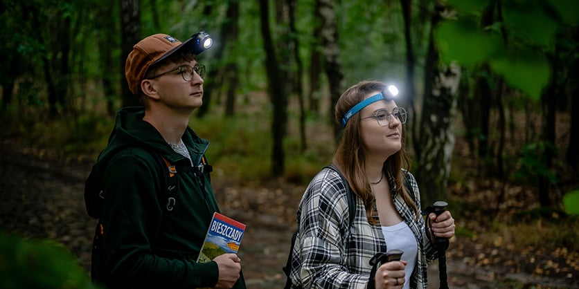 Newell Campina Multi Headlamp Flashlight
