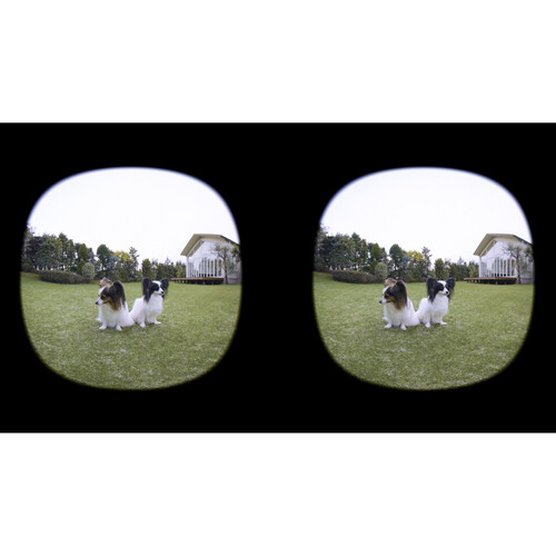 1023919_E.jpg - Canon RF-S 3.9mm f/3.5 STM Dual Fisheye Lens - Thumbnail 5