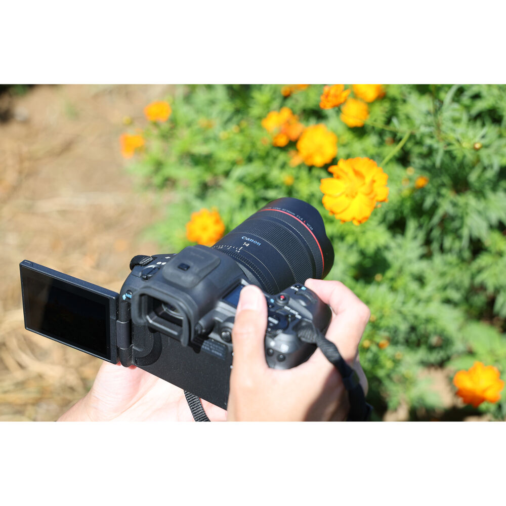 1026069_C.jpg - Canon RF 14mm f/1.4 L VCM Lens - Image 3