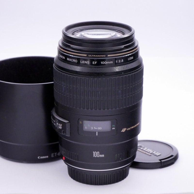 Best image for Canon EF 100mm F/2.8 USM Macro Lens