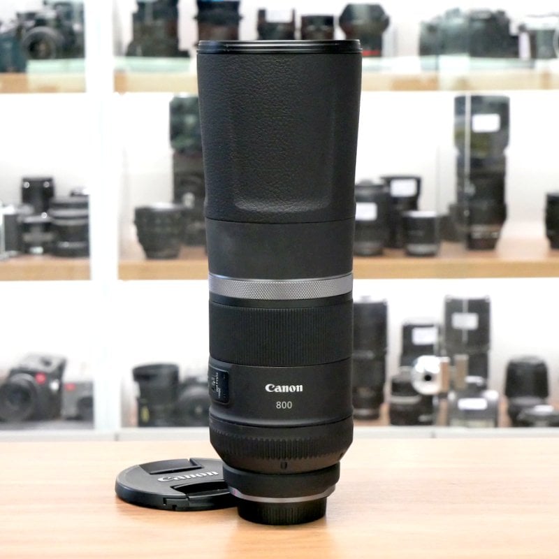 Best image for Canon RF 800mm F/11 IS STM Lens