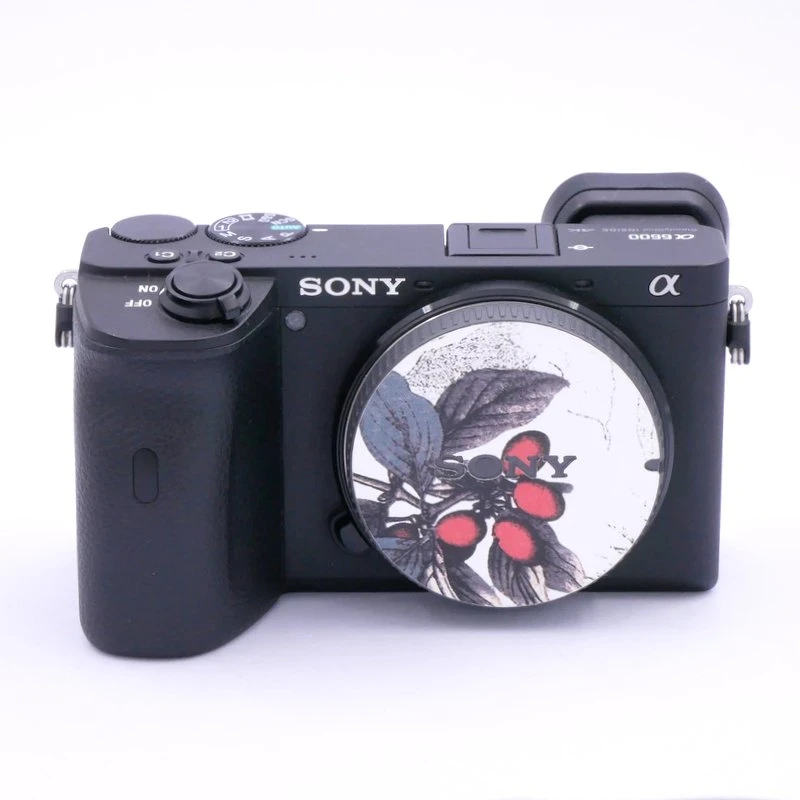 Best image for Sony A6600 Body - Only 11K Frames