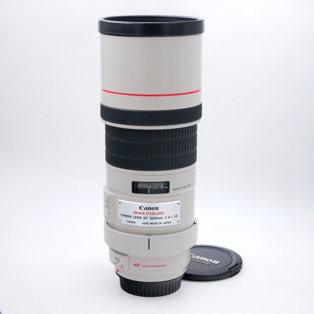 Canon EF 300mm F/4 L IS USM Lens