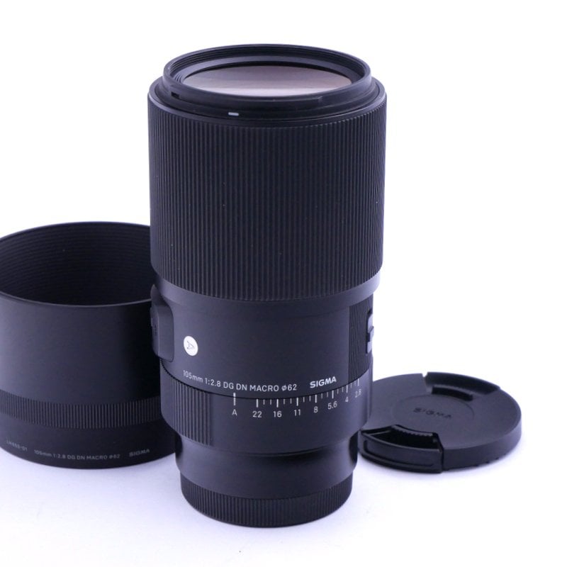 Best image for Sigma AF 105mm F/2.8 DG DN Art Macro Lens in Sony FE Mount