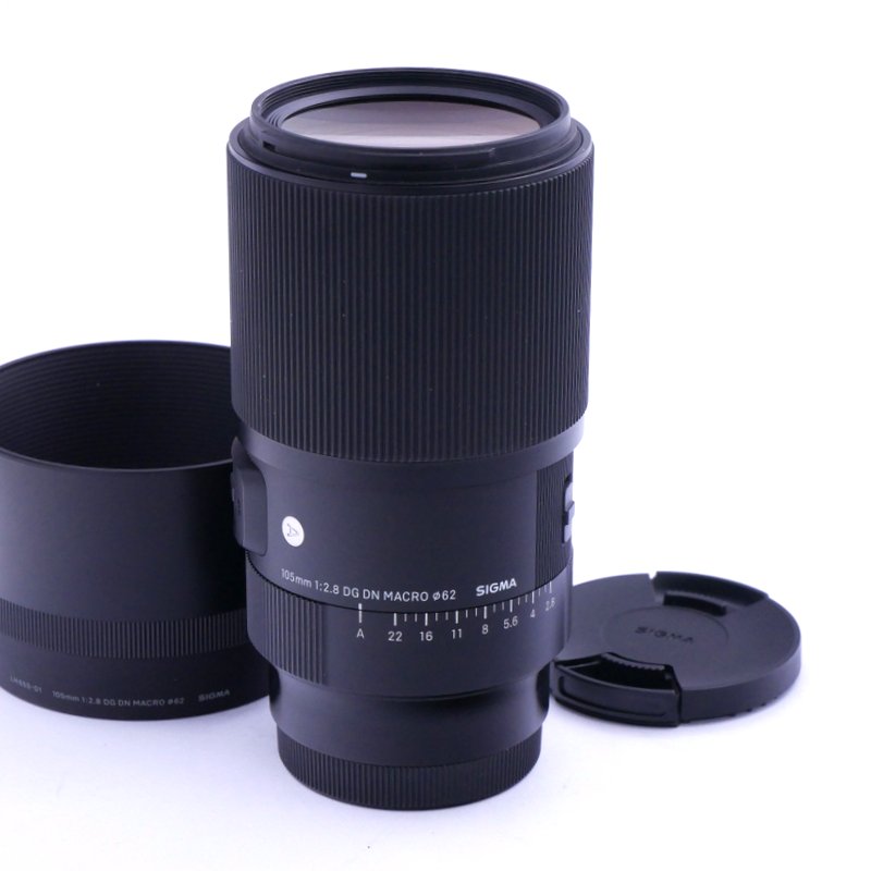 Best image for Sigma AF 105mm F/2.8 DG DN Art Macro Lens in Sony FE Mount