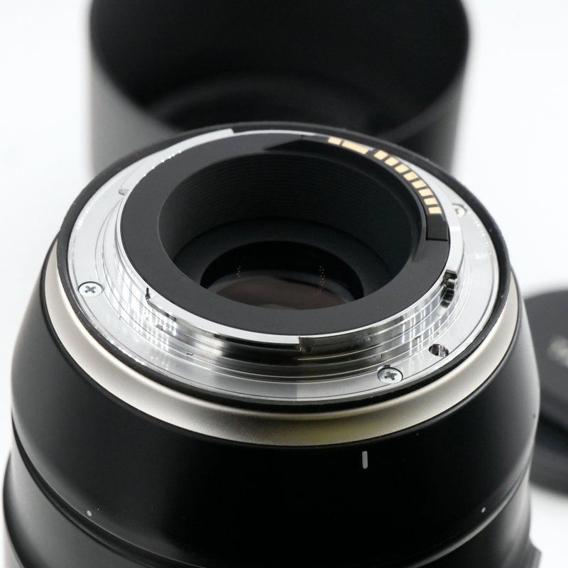 S-H-DYXSNP_3.jpg - Tamron AF 100-400mm F/4.5-6.3 Di VC USD Lens in Canon EF Mount - Image 2