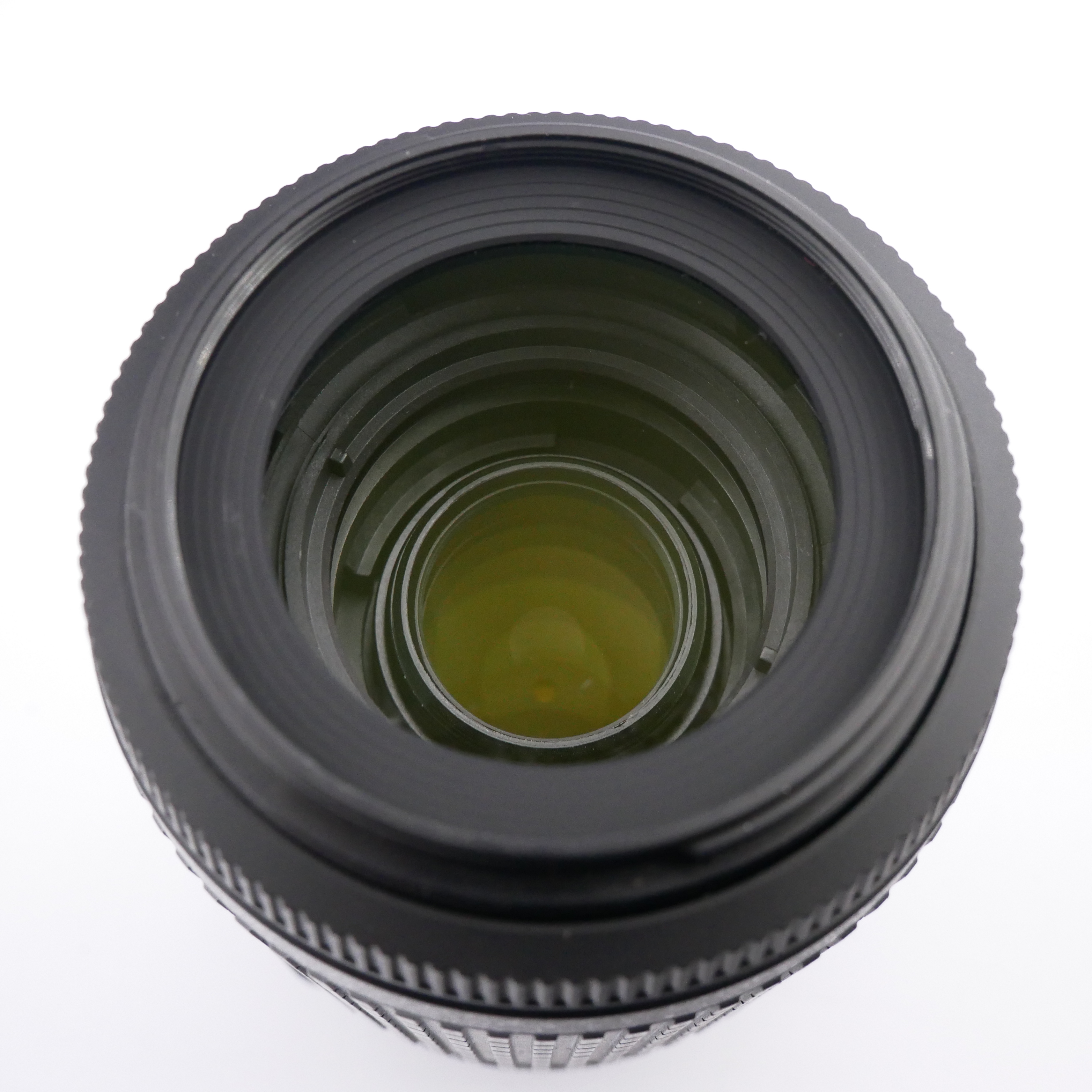 S-H-ERRAYY_2.jpg - Nikon AF-S 55-200mm F4-5.6 ED DX Lens  - Image 2