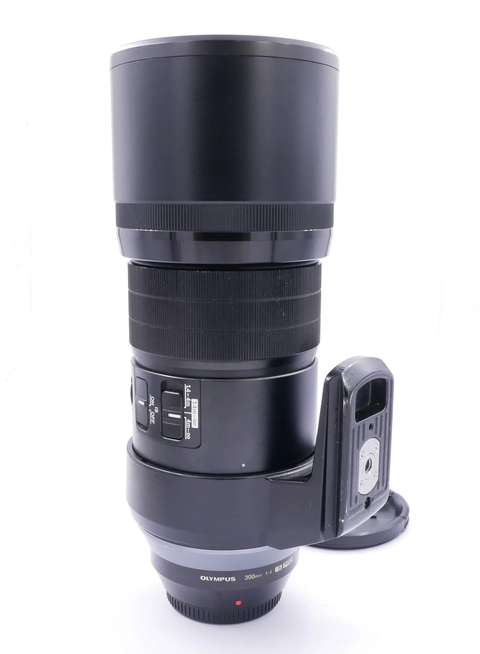 Best image for Olympus 300mm F4 IS Pro Lens