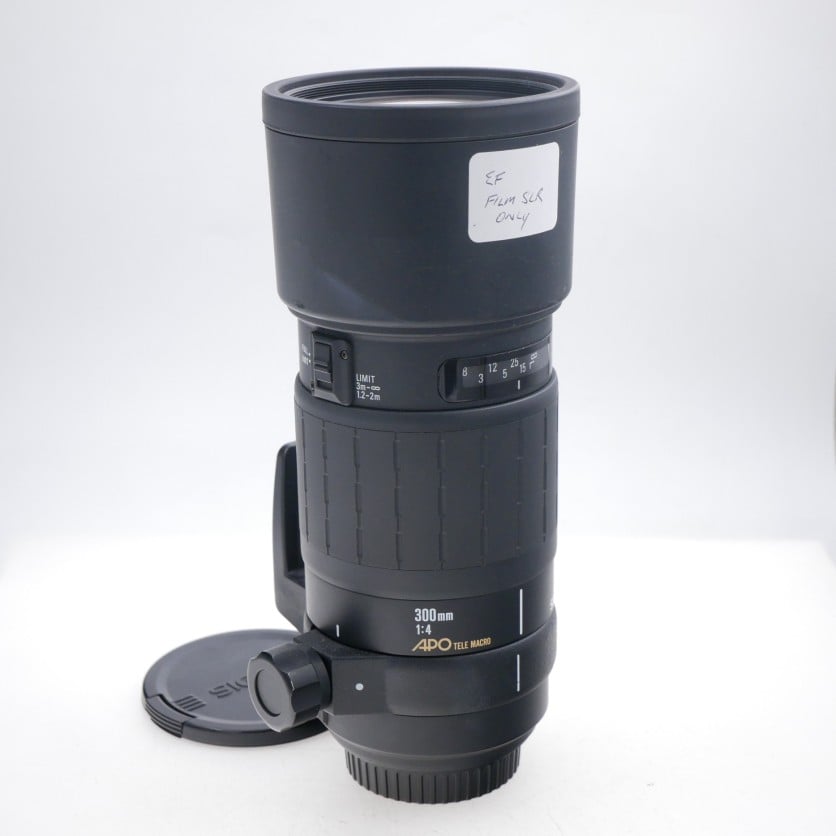 Sigma 300mm F4 APO Tele Macro HSM (Canon EF Film SLR only)