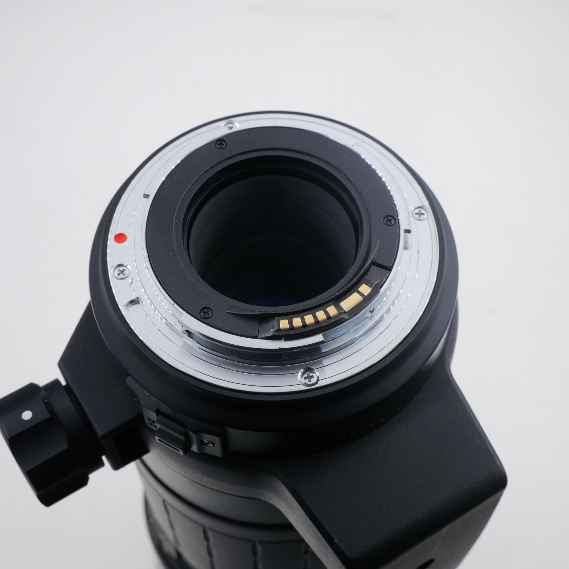 S-H-LV72A7_3.jpg - Sigma 300mm F4 APO Tele Macro HSM (Canon EF Film SLR only)