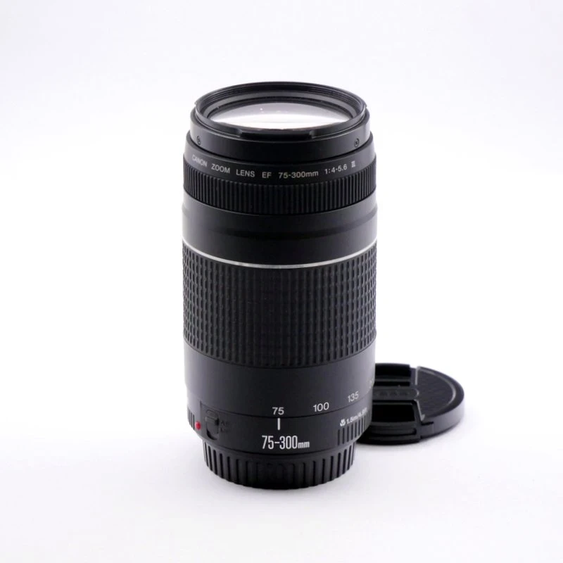 Best image for Canon EF 75-300mm F4-5.6 III Lens