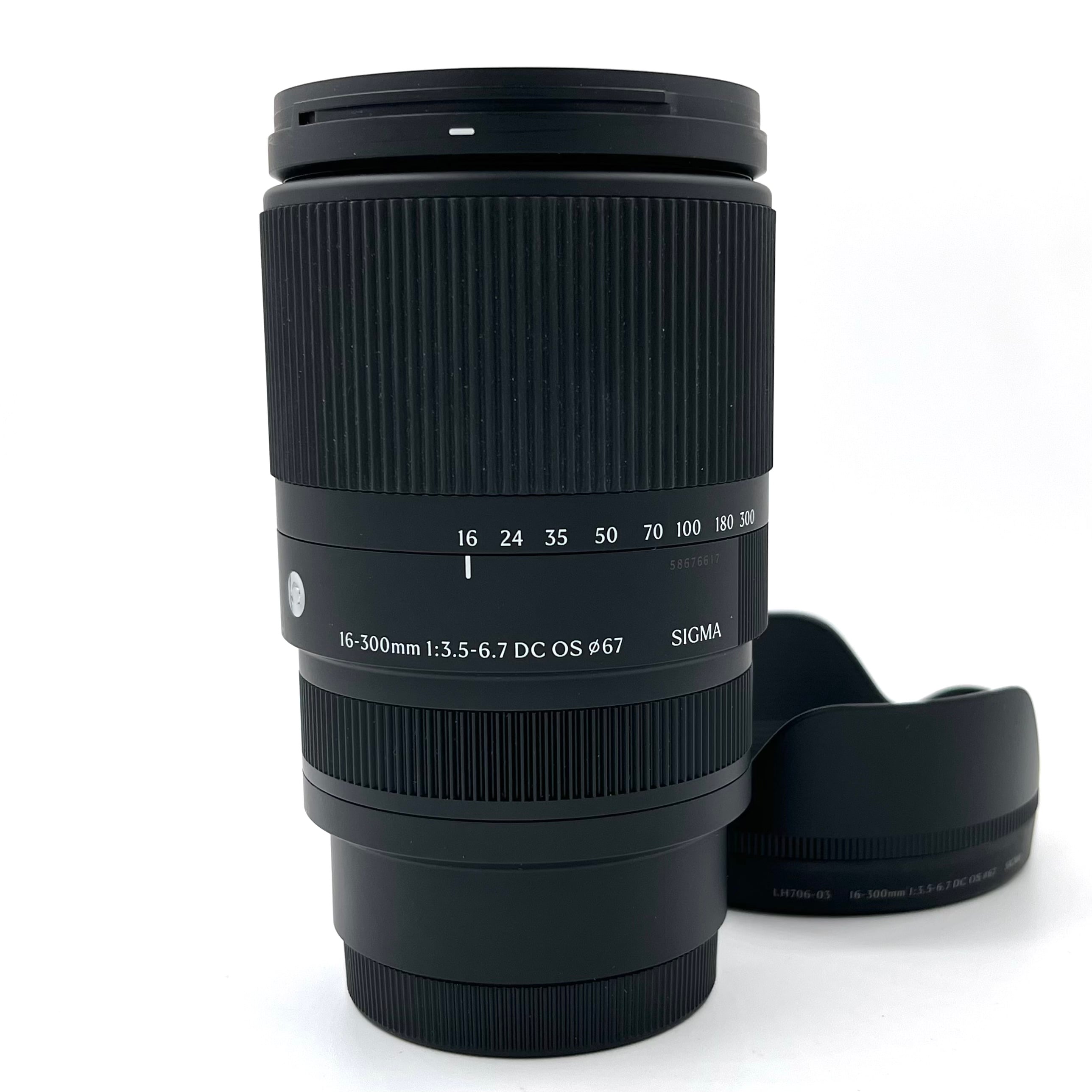 Best image for Sigma 16-300mm F/3.5-6.7 DC OS Lens for Sony E