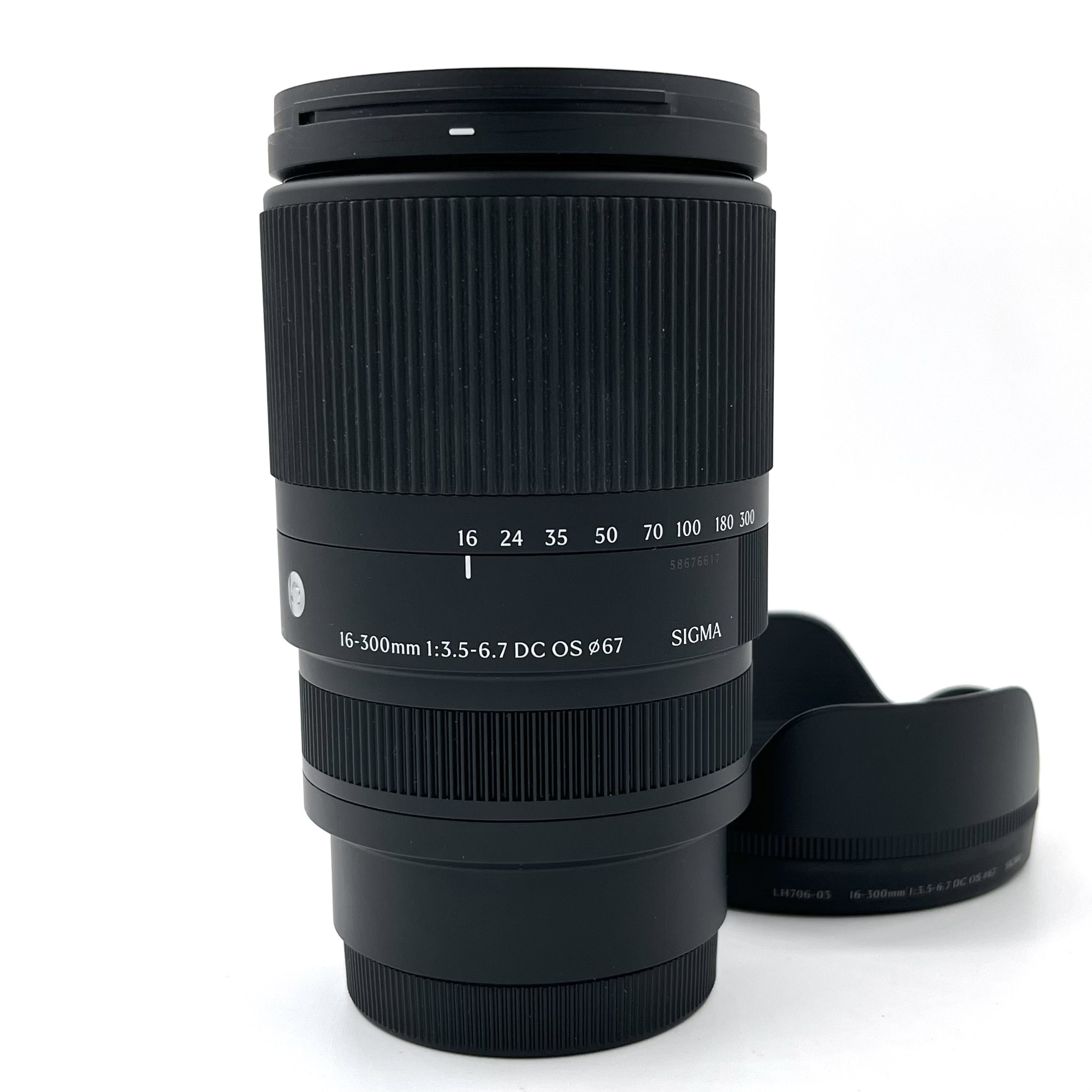 Best image for Sigma 16-300mm F/3.5-6.7 DC OS Lens for Sony E