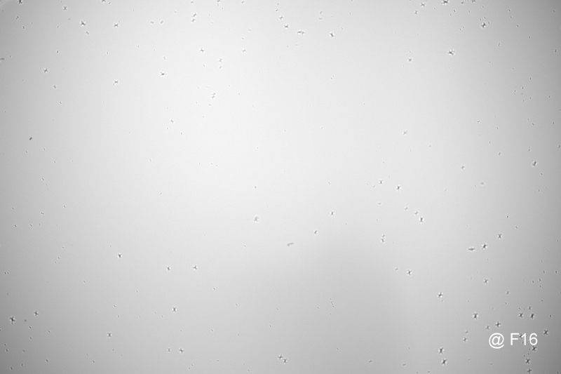 S-H-PTLYR3_2.jpg - Leica Monochrom Body - (See Description) Model 10 760 - Image 1