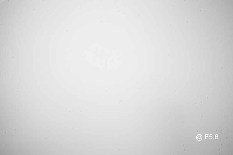 S-H-PTLYR3_5.jpg - Leica Monochrom Body - (See Description) Model 10 760 - Image 4