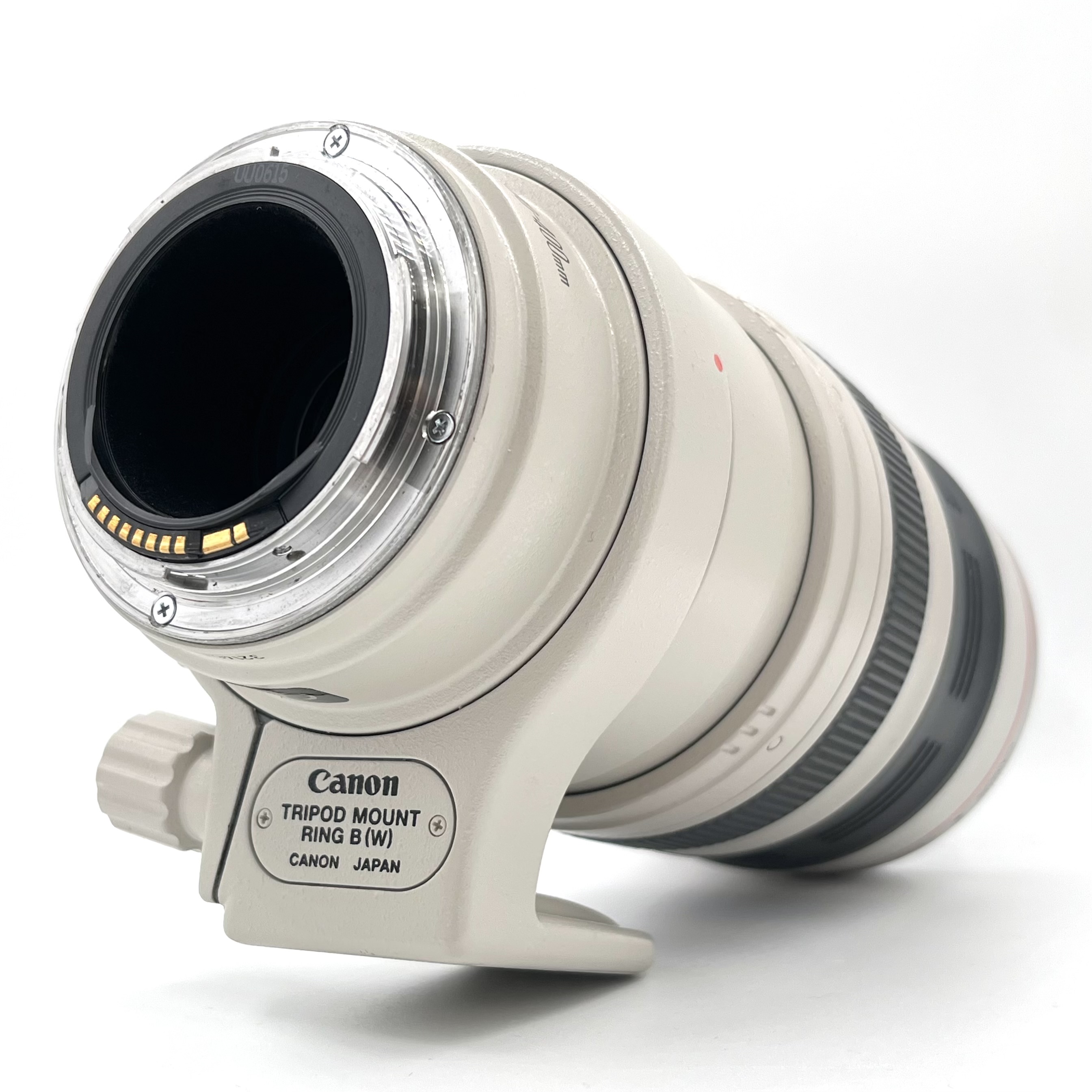 S-H-R274DU_4.jpeg - Canon EF 100-400mm F/4.5-5.6 L IS USM Lens - Image 2