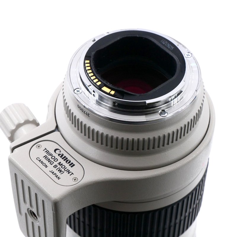 S-H-SURW66_4.jpg - Canon EF 70-200mm F/2.8 L USM Lens - Image 2