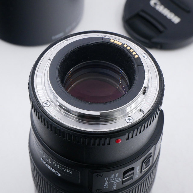 S-H-WH3D7K_3.jpg - Canon EF 100mm F/2.8 L IS USM Macro Lens